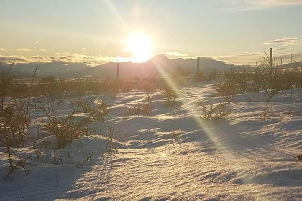 Dome With Stunning Glacier & Mountain Views ปวยร์โตนาตาเลส ภายนอก รูปภาพ
